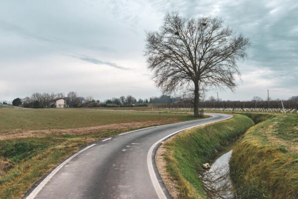 A winding road in the countryside with a lone tree under a cloudy sky.